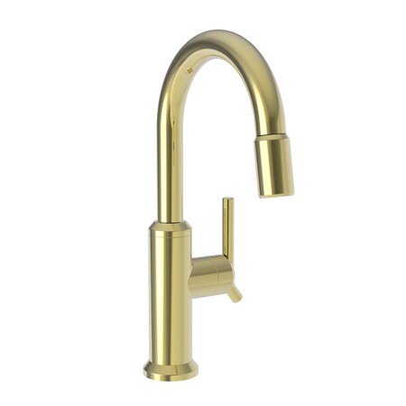 Newport Brass Prep/Bar Pull Down Faucet in Forever Brass (Pvd) 3200-5223-01